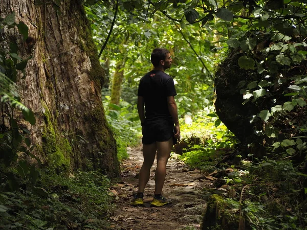 Panama ormanındaki genç adam