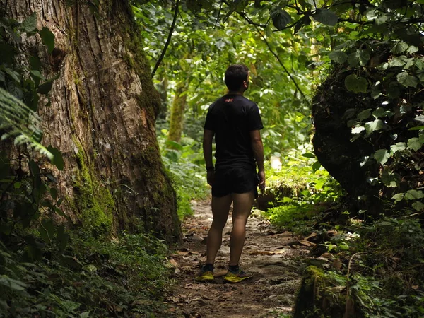 Jovem Selva Panamá — Fotografia de Stock