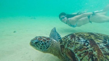 Sri Lanka 'da vahşi kaplumbağalı genç bir kadın.