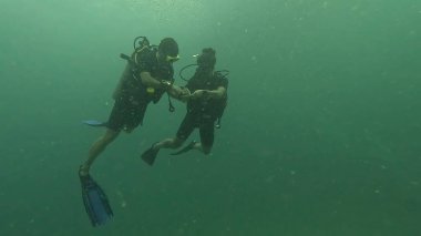  Koh Tao Terzisinde dalgıçlar