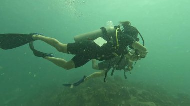  Koh Tao Terzisinde dalgıçlar