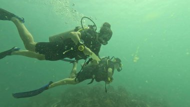  Koh Tao Terzisinde dalgıçlar