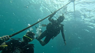  Koh Tao Terzisinde dalgıçlar