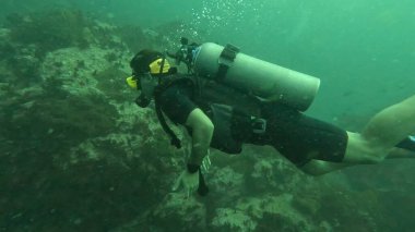  Koh Tao Terzisinde dalgıçlar