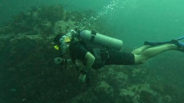  Koh Tao Terzisinde dalgıçlar