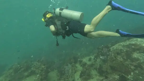  Koh Tao Terzisinde dalgıçlar