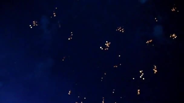 Feu Artifice Explosif Boucle Célébration Pour Fête Fin Année Festival — Video