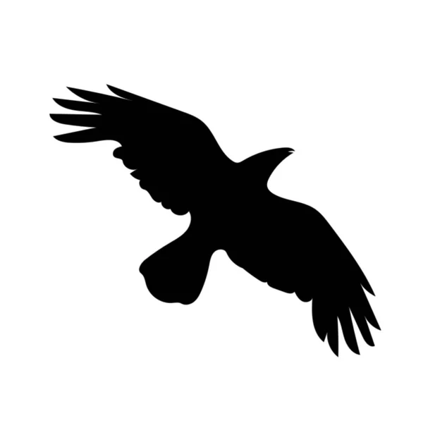 Silueta Negra Aves Voladoras Aisladas Sobre Fondo Blanco Las Aves —  Fotos de Stock