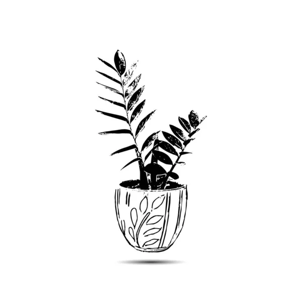 Ornamental plant drawing in pot,  isolated on white background. Hand Drawn Painting Illustration.