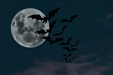 Cadılar Bayramı arka planında gece gökyüzünde uçan yarasalar ve dolunay var. Cadılar Bayramı arka planında uçan yarasalar ve dolunay var. 