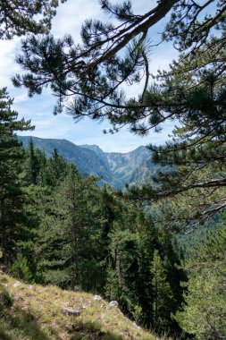 Durmitor, Karadağ, 7 Ağustos 2024. Durmitor Ulusal Park manzarası.