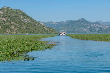 Skadar, Karadağ, 11 Ağustos 2024. Skadar Gölü Avrupa 'nın en büyüğü..