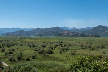 Skadar, Karadağ, 11 Ağustos 2024. Skadar Gölü Avrupa 'nın en büyüğü..