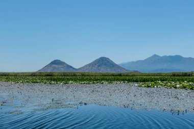 Skadar, Karadağ, 11 Ağustos 2024. Skadar Gölü Avrupa 'nın en büyüğü..