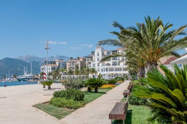 Porto Karadağ, Karadağ, 12 Ağustos 2024. Tivat, limanın ve teknelerinin manzarası..