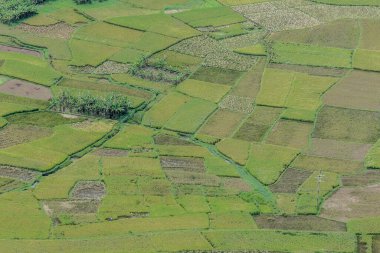 Mai Chau, Vietnam, 23 Ekim 2025. Mai Chau Vadisi ve onun tarım arazisi, Hoa Binh Eyaleti,