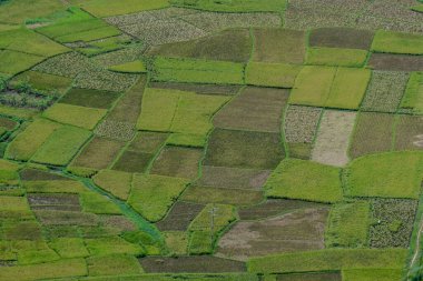 Mai Chau, Vietnam, 23 Ekim 2025. Mai Chau Vadisi ve onun tarım arazisi, Hoa Binh Eyaleti,