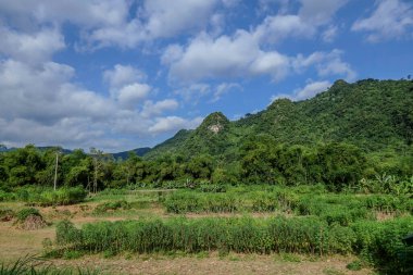 Mai Chau, Vietnam, 23 Ekim 2025. Mai Chau Vadisi ve onun tarım arazisi, Hoa Binh Eyaleti,