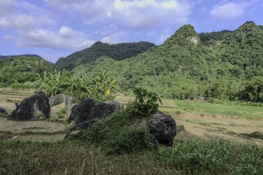 Mai Chau, Vietnam, 23 Ekim 2025. Mai Chau Vadisi ve onun tarım arazisi, Hoa Binh Eyaleti,