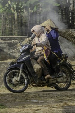 Mai Chau, Vietnam, 23 Ekim 2025. Mai Chau Vadisi ve onun tarım arazisi, Hoa Binh Eyaleti. Bambu taşıyan motosikletli iki kadın..