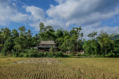 Mai Chau, Vietnam, 23 Ekim 2025. Mai Chau Vadisi ve ekili arazisi, hala ev.