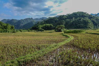 Mai Chau, Vietnam, 23 Ekim 2025. Mai Chau Vadisi ve onun tarım arazisi, Hoa Binh Eyaleti,