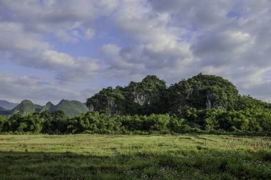 Mai Chau, Vietnam, 23 Ekim 2025. Mai Chau Vadisi ve onun tarım arazisi, Hoa Binh Eyaleti,