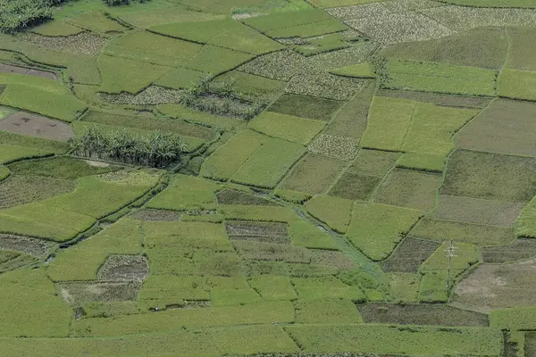 Mai Chau, Vietnam, 23 Ekim 2025. Mai Chau Vadisi ve onun tarım arazisi, Hoa Binh Eyaleti,