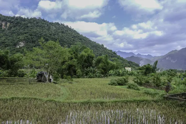 Mai Chau, Vietnam, 23 Ekim 2025. Mai Chau Vadisi ve onun tarım arazisi, Hoa Binh Eyaleti,