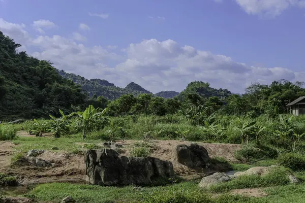Mai Chau, Vietnam, 23 Ekim 2025. Mai Chau Vadisi ve onun tarım arazisi, Hoa Binh Eyaleti,