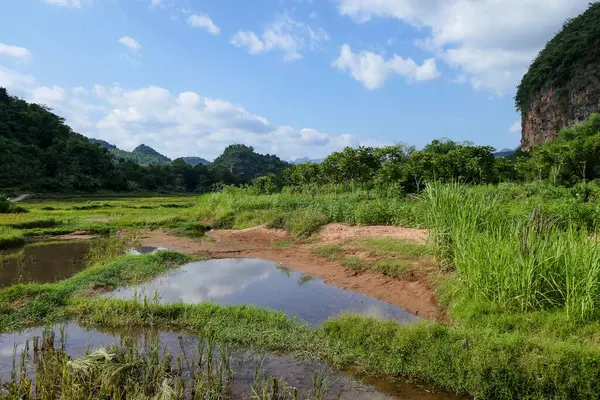 Mai Chau, Vietnam, 23 Ekim 2025. Mai Chau Vadisi ve onun tarım arazisi, Hoa Binh Eyaleti,