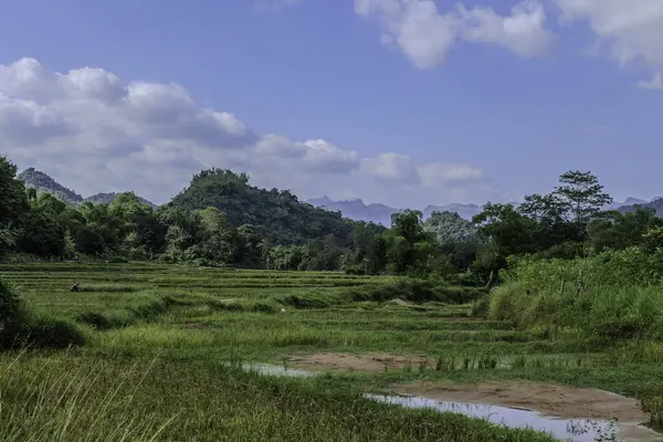 Mai Chau, Vietnam, 23 Ekim 2025. Mai Chau Vadisi ve onun tarım arazisi, Hoa Binh Eyaleti,