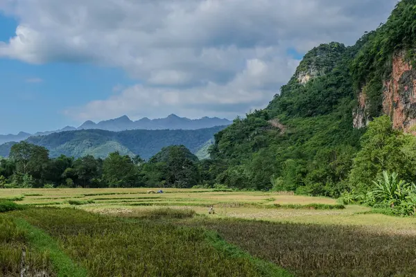 Mai Chau, Vietnam, 23 Ekim 2025. Mai Chau Vadisi ve onun tarım arazisi, Hoa Binh Eyaleti,