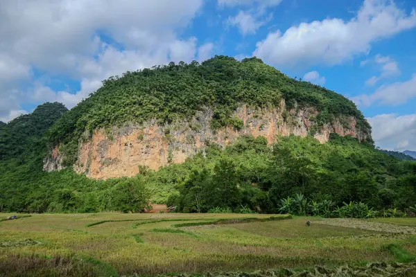 Mai Chau, Vietnam, 23 Ekim 2025. Mai Chau Vadisi ve onun tarım arazisi, Hoa Binh Eyaleti,