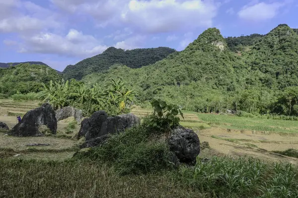 Mai Chau, Vietnam, 23 Ekim 2025. Mai Chau Vadisi ve onun tarım arazisi, Hoa Binh Eyaleti,