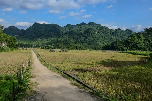 Mai Chau, Vietnam, 23 Ekim 2025. Mai Chau Vadisi ve onun tarım arazisi, Hoa Binh Eyaleti,