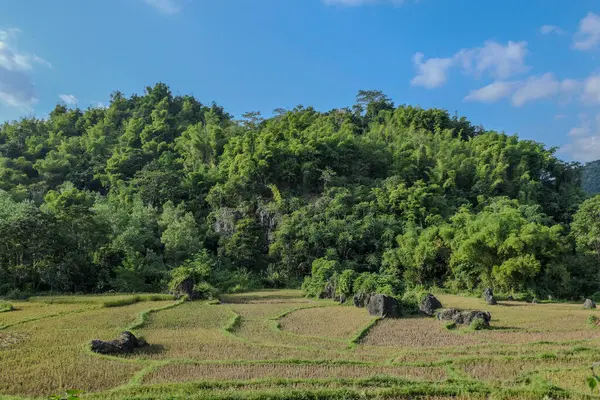 Mai Chau, Vietnam, 23 Ekim 2025. Mai Chau Vadisi ve onun tarım arazisi, Hoa Binh Eyaleti,