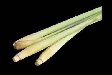 Limon otu siyah arkaplanda izole edilmiş, kırpma ile gölge yok