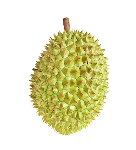 Durian Izolowany Ścieżką Wycinania Białym Tle Bez Cienia Owoce Tropikalne — Zdjęcie stockowe