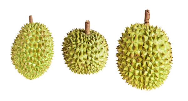 Durian Izolowany Ścieżką Wycinania Białym Tle Bez Cienia Owoce Tropikalne — Zdjęcie stockowe