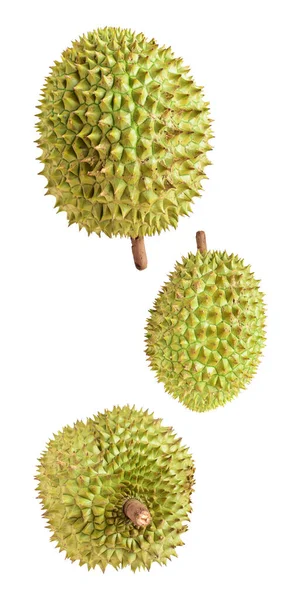 Durian Isolerad Med Klippning Väg Vit Bakgrund Ingen Skugga Tropisk — Stockfoto