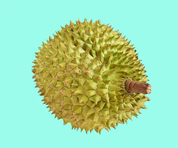 Durian Isolé Avec Chemin Coupe Fond Vert Pas Ombre Fruits — Photo