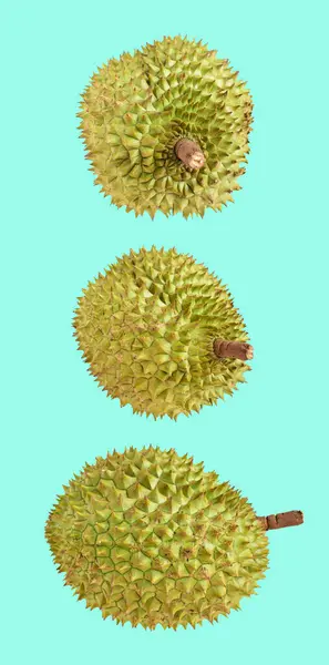 Durian Elszigetelt Nyírás Útvonal Zöld Háttér Nincs Árnyék Trópusi Gyümölcs — Stock Fotó