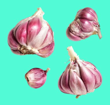 Sarımsak izole, yeşil arka planda yemek malzemesi, gölge yok, kırpma yolu yok.