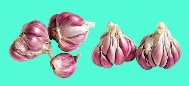 Sarımsak izole, yeşil arka planda yemek malzemesi, gölge yok, kırpma yolu yok.