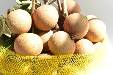 Longan izole edilmiş arka plan, tropik tatlı meyve