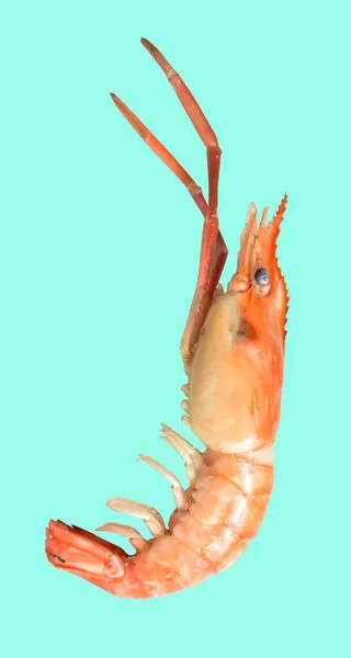 Shrimp Isolated Clipping Path Shadow Green Background — Stock Photo, Image