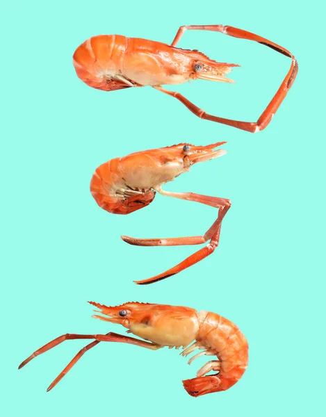 Shrimp Isoliert Mit Clipping Pfad Kein Schatten Auf Grünem Hintergrund — Stockfoto