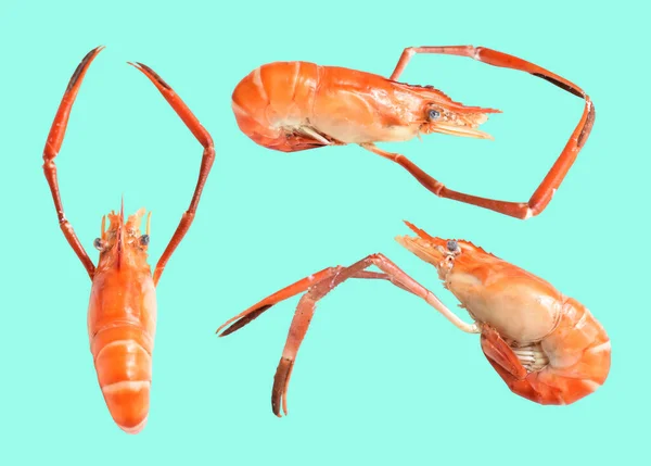 Shrimp Isoliert Mit Clipping Pfad Kein Schatten Auf Grünem Hintergrund — Stockfoto