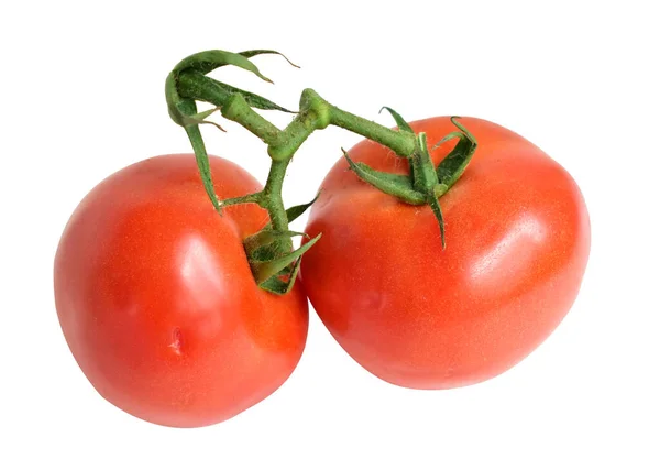 Tomates Isolées Avec Chemin Coupe Pas Ombre Sur Fond Blanc — Photo